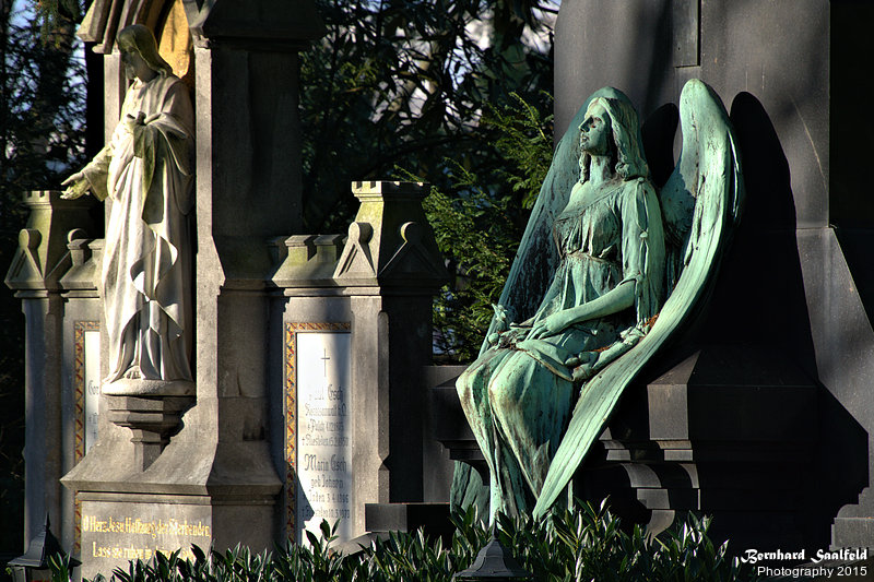 Bernhard Saalfeld - DSC00552 -1